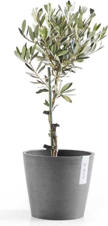 Actual product image Ecopots Amsterdam (20 cm)