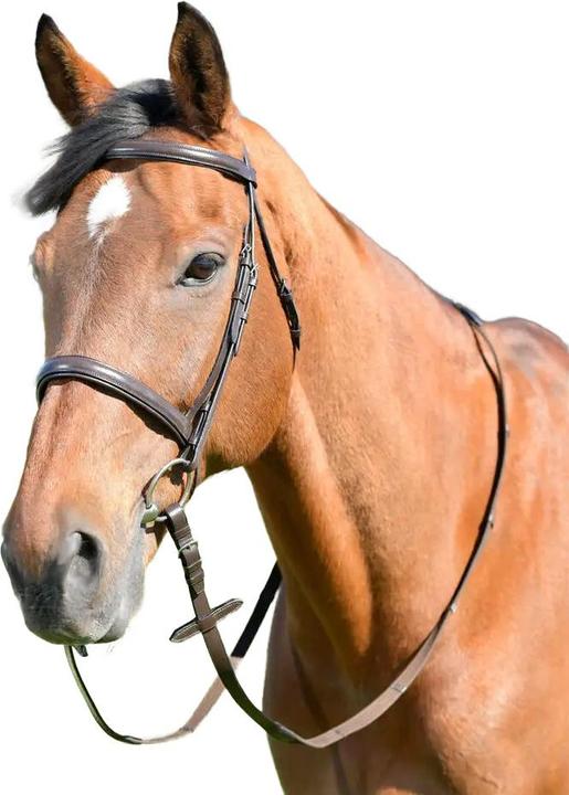 Actual product image Kincade Classic Leather Horse Cavesson Bridle With Reins