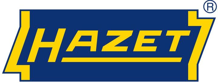 Image du produit HAZET Aiguilles de rechange pour le dérouillage des aiguilles 9035-050