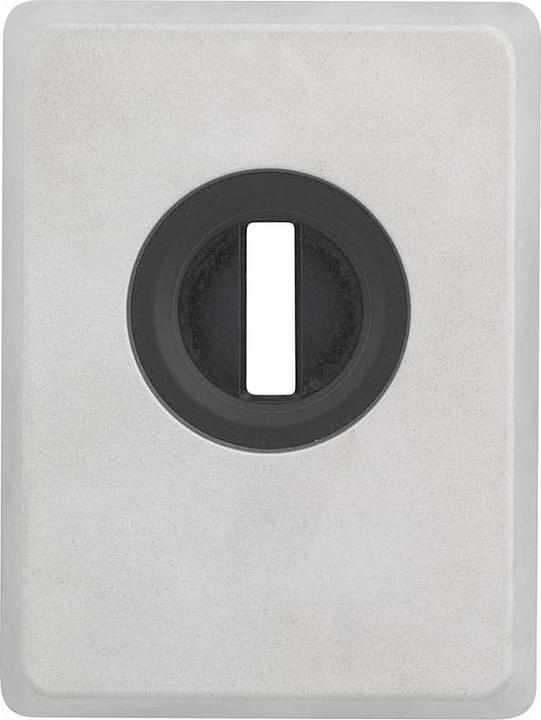 Abus Plaque blindée PZS70 avec protection anti-arrachage, argentée