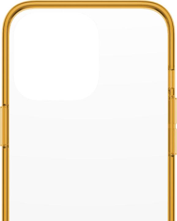 Produktbild PanzerGlass Clear Case (Apple iPhone 13 Pro)