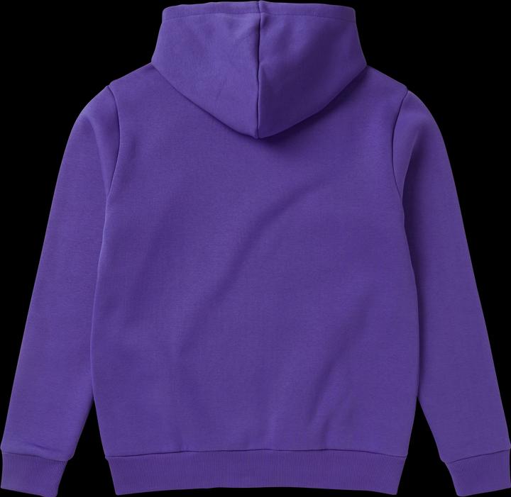 Image du produit Mystic Icon Hood Sweat (XL)