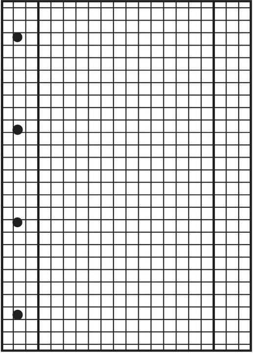 Immagine prodotto Landré Quaderno universitario A4+ per mancini (A4+, Quadretti, Nessuna rilegatura)