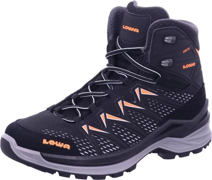 Image du produit Lowa Innox Pro GTX (45)