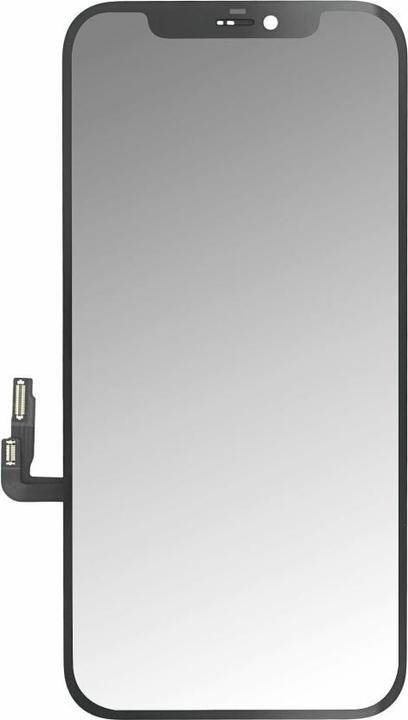 Actual product image OEM Original Foxconn Display Unit for iPhone 12 / 12 Pro (Display, iPhone 12, iPhone 12 Pro)