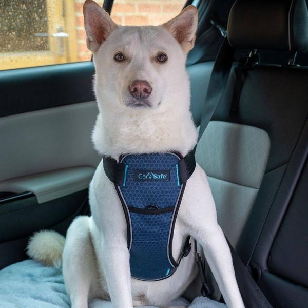 Produktbild Company of Animals CarSafe Autogeschirr Crash-getestet (Hund, Reflektoren, Faltbar)