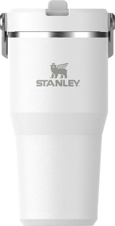 Stanley IceFlow Flip Straw 2.0 Tumbler, 600 ml, Frost (0.60 l)