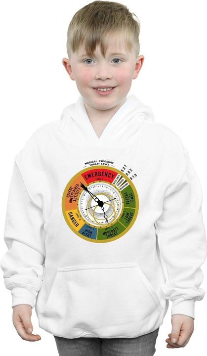 Actual product image Fantastic Beasts Boys Threat Level Hoodie (128)