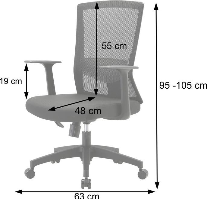 Actual product image Sihoo Office chair with lumbar support