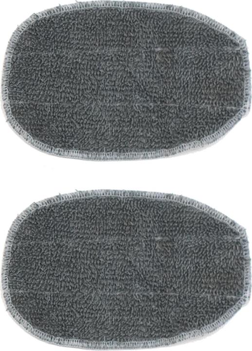 Livington SteamTouch