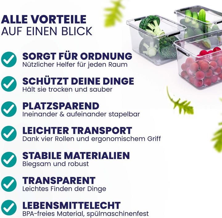 Actual product image Deuba Aufbewahrungsbox (20 x 15 x 12 cm, 2 l)