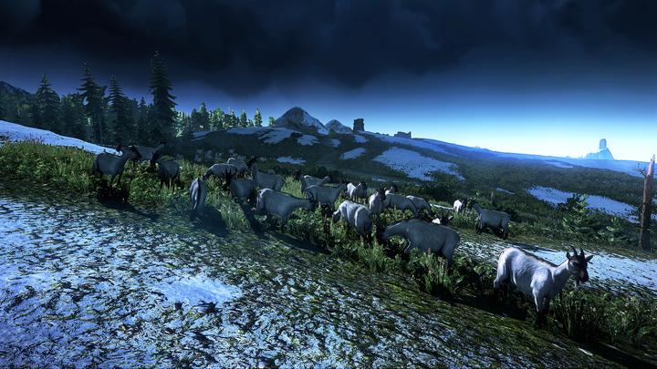 Image du produit The Witcher 3 : Wild Hunt