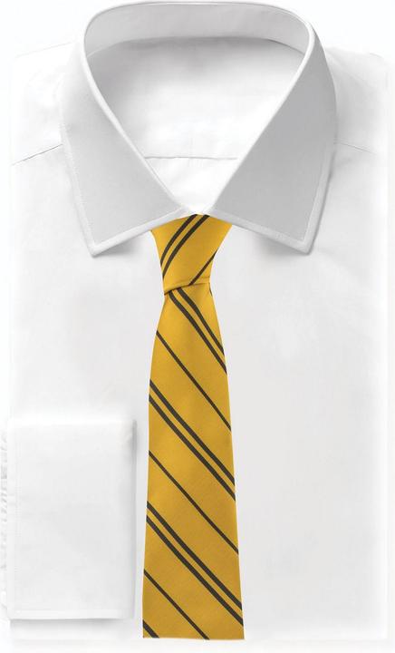 Immagine prodotto Cinereplicas Harry Potter: Hufflepuff