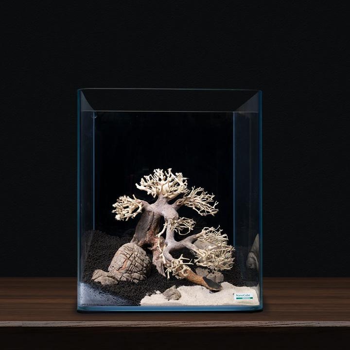 Immagine prodotto Dennerle Decorazione Bonsai Box (Decorazione, Albero)