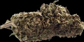 Produktbild Herba di Berna Orangello (45 g, Outdoor)
