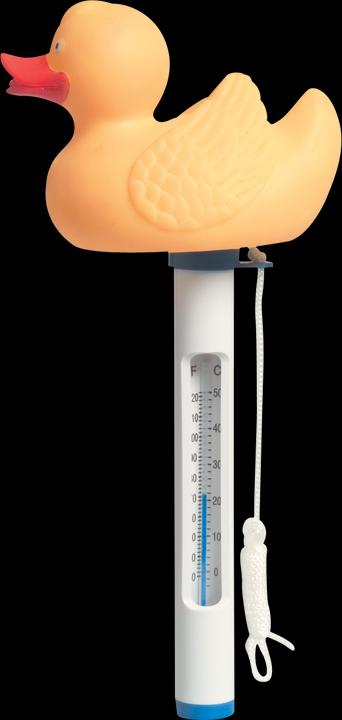 Image du produit Flotide Thermometer Ente