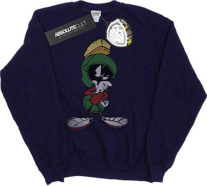 Looney Tunes Sweatshirt (M)