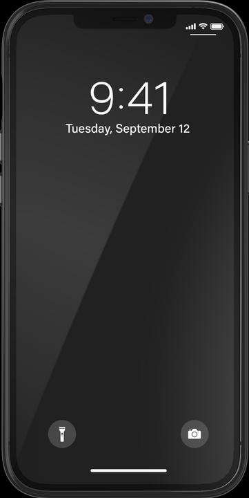 Immagine prodotto adidas Custodia a scatto AOP CNY (Apple iPhone 12 Pro Max)