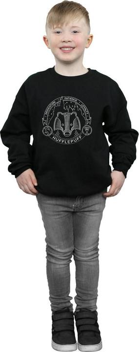 Image du produit - Sweat HUFFLEPUFF SEAL - Garçon (140, 146)