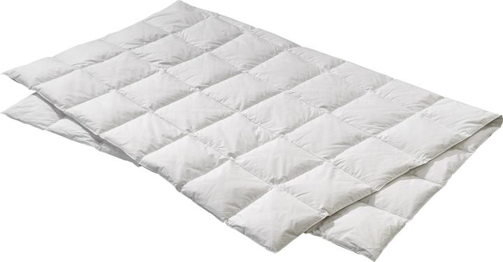 Actual product image Billerbeck Edition Elwine Light (620 g, 200 x 210 cm)
