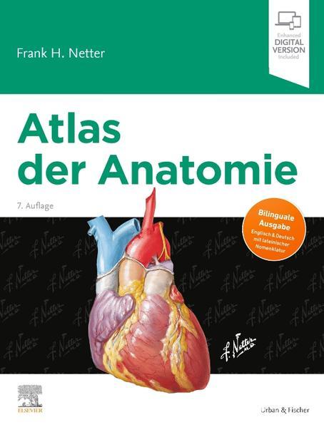 Produktbild Atlas der Anatomie (Deutsch, Frank H. Netter, Christian M. Hammer, 2020)