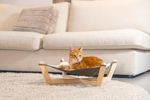 Image du produit Designed by Lotte Gaia (Chat)