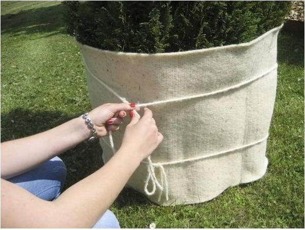 Actual product image Windhager Sheep wool binding cord (1000 cm)