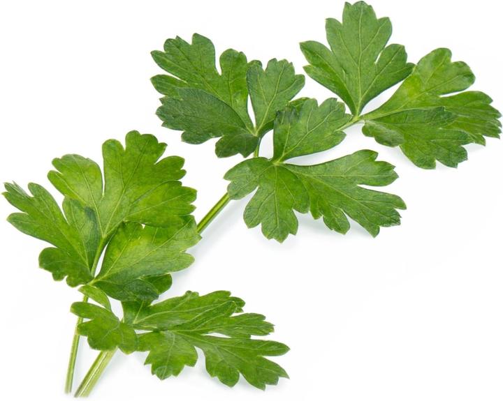 Productafbeelding Véritable Bio-Petersilie (glatt) (Kruidenzaden)