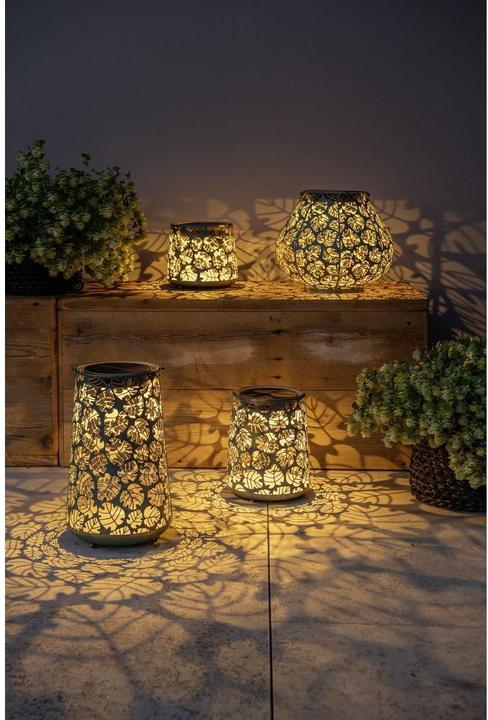 Immagine prodotto STT Antic Monstera