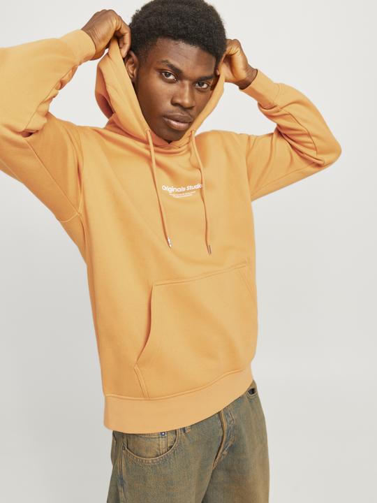 Actual product image Jack & Jones Jorvesterbro Sweat Hood Noos (XXS)