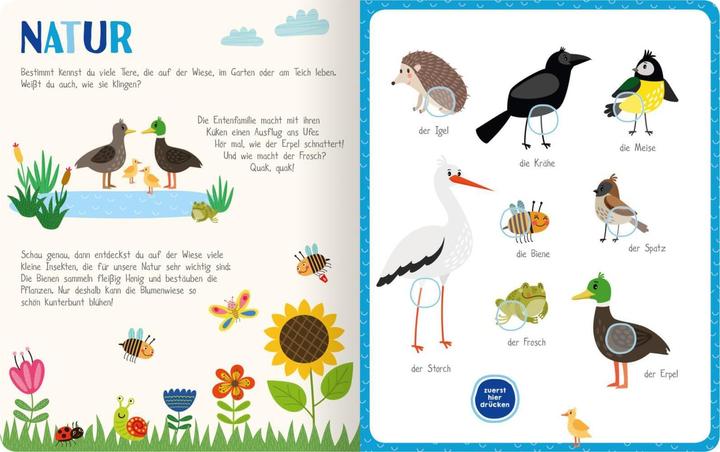 Produktbild Mein kunterbuntes Soundbuch - Tiere (Deutsch, 2019)