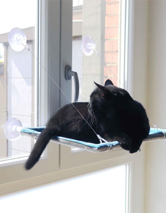 Image du produit United Pets Cat View (Chat)