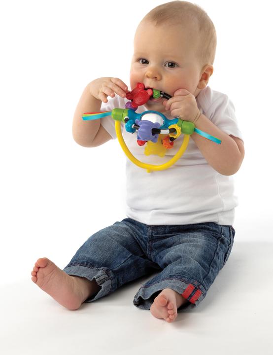 Produktbild Playgro Drehrassel