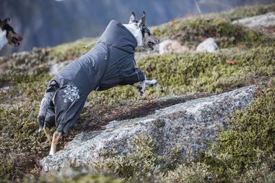 Image du produit Hurtta Extreme (50, Manteau pour chien)