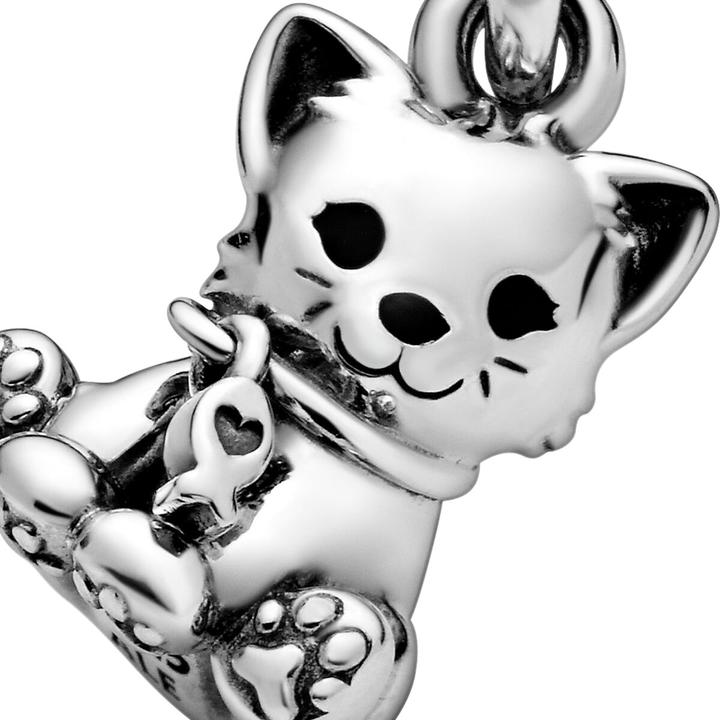 Image du produit Pandora Labrador Dog (Argent 925)