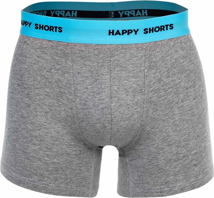 Actual product image Happy shorts Boxer shorts Casual Comfortable fit (L, pack of 3)