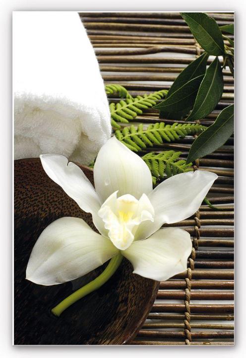 Image du produit Trenddeko Orchidée du bien-être (70 x 100 cm)