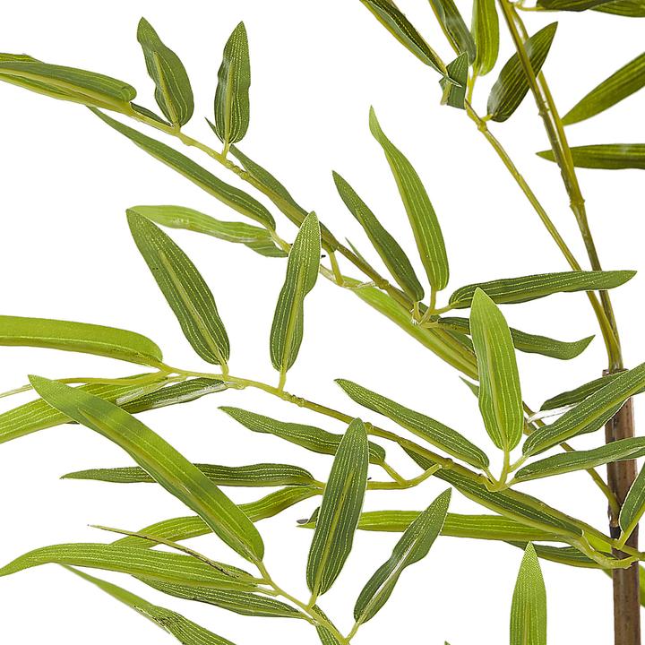 Image du produit Beliani Bambusa Vulgaris (160 cm)