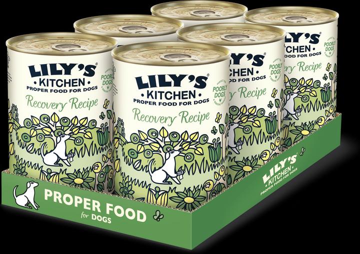 Lily's Kitchen Recovery Recipe (Adult, 1 Stk., 2760 g)