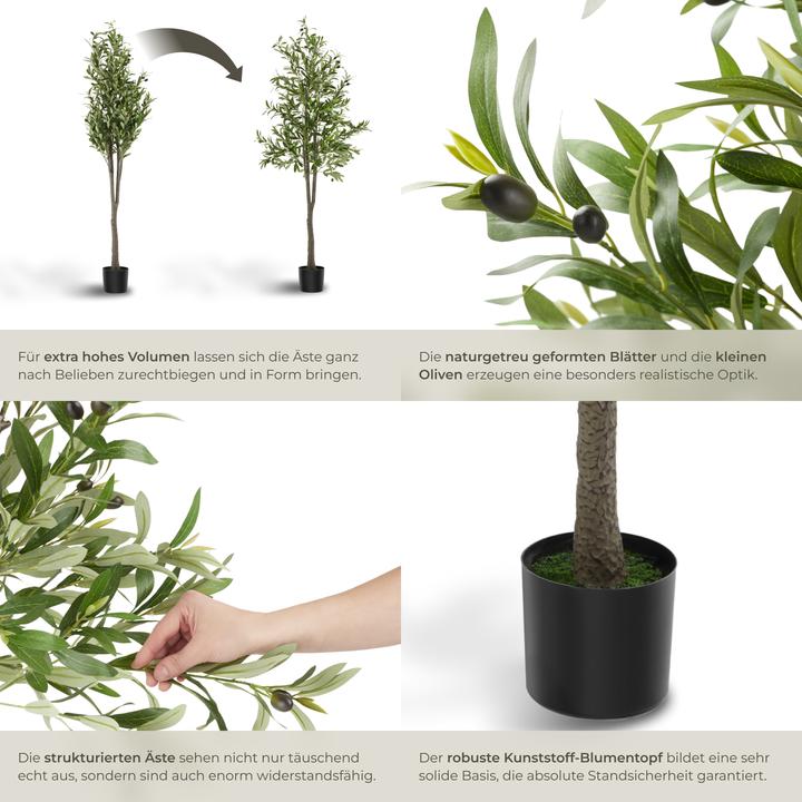 Produktbild tectake Olivenbaum Oleand (180 cm)