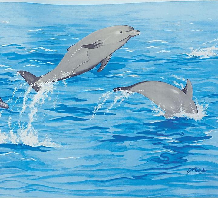 Actual product image spirella Nemo (120 x 200 cm)