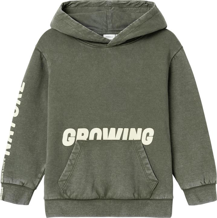 Name it Bio-Baumwoll Hoodie (116)
