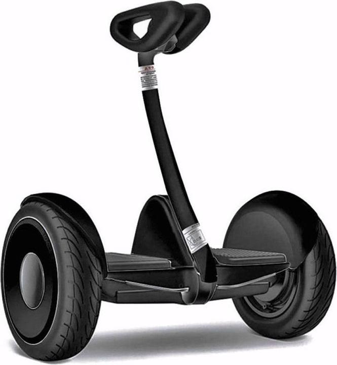 Actual product image Xiaomi Ninebot S Mini (16 km/h, 22 km, 700 W)