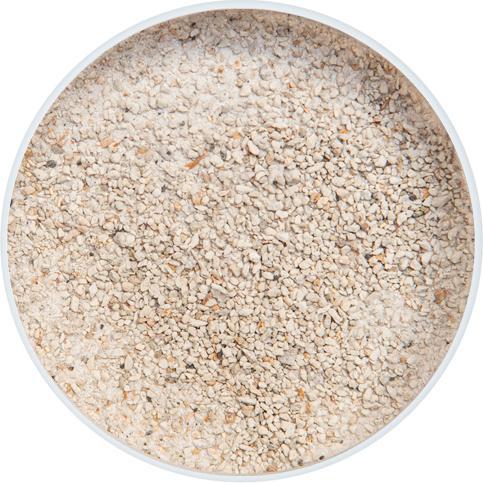 Produktbild KobrePond Ammonium / Nitrit Minus