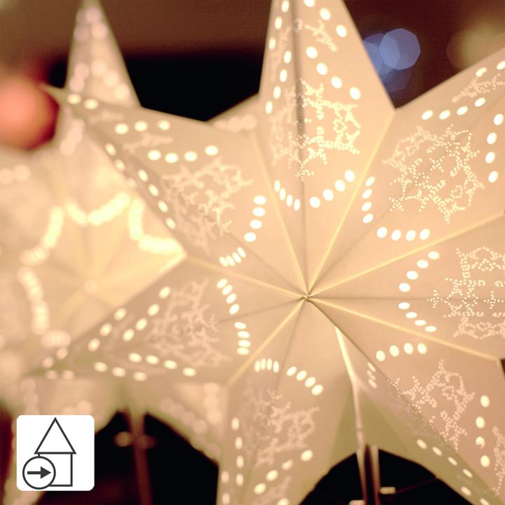 Actual product image Star Trading Sensy