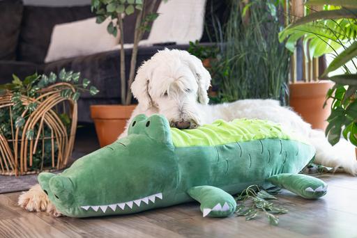 Produktbild Beeztees Hundespielzeug Krokodil