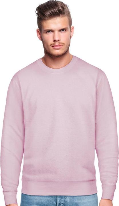Image du produit Universal Textiles Sweat-shirt (S)