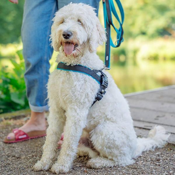 Produktbild Nobby Norwegergeschirr Mesh Preno (S, M, Hund, Allgemein)