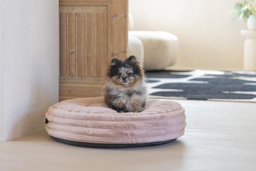 Produktbild Designed by Lotte Liegekissen Reza (Hund)