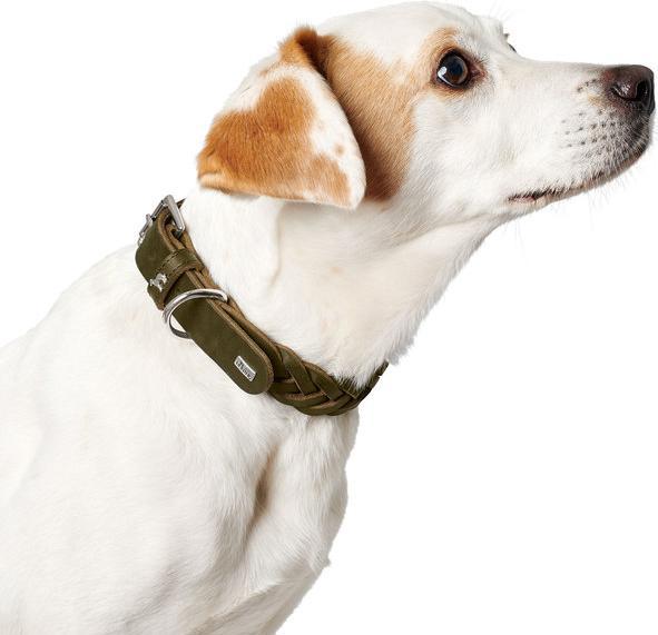 Produktbild Hunter Halsband Solid Education Special (35, 36, 37, 38, 39, 40, 41, 42, 43, 44, Hund)
